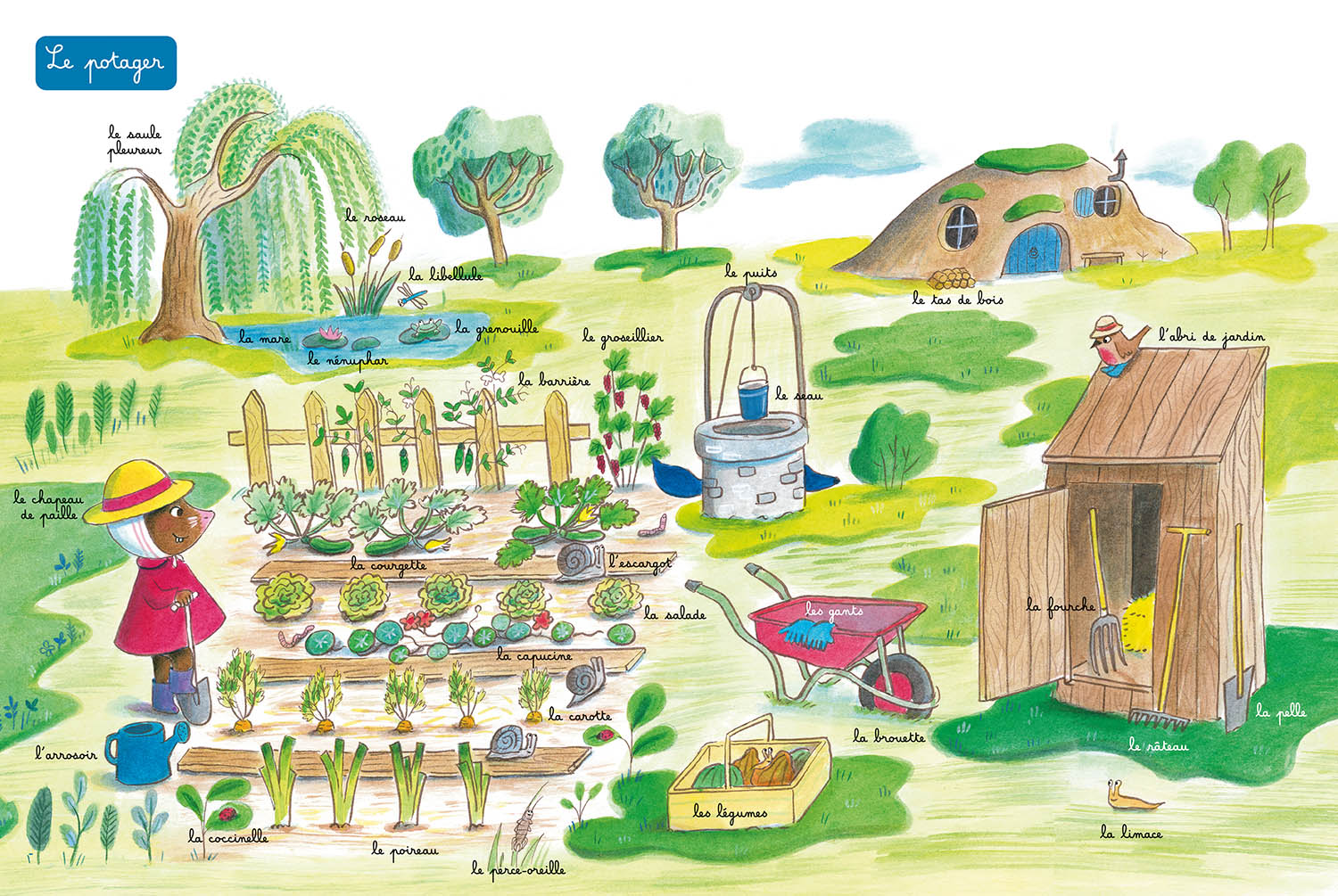 L'imagier De La Nature L'imagier De La Nature