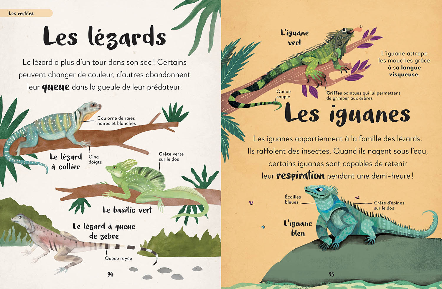MA PREMIERE ANTHOLOGIE DES ANIMAUX