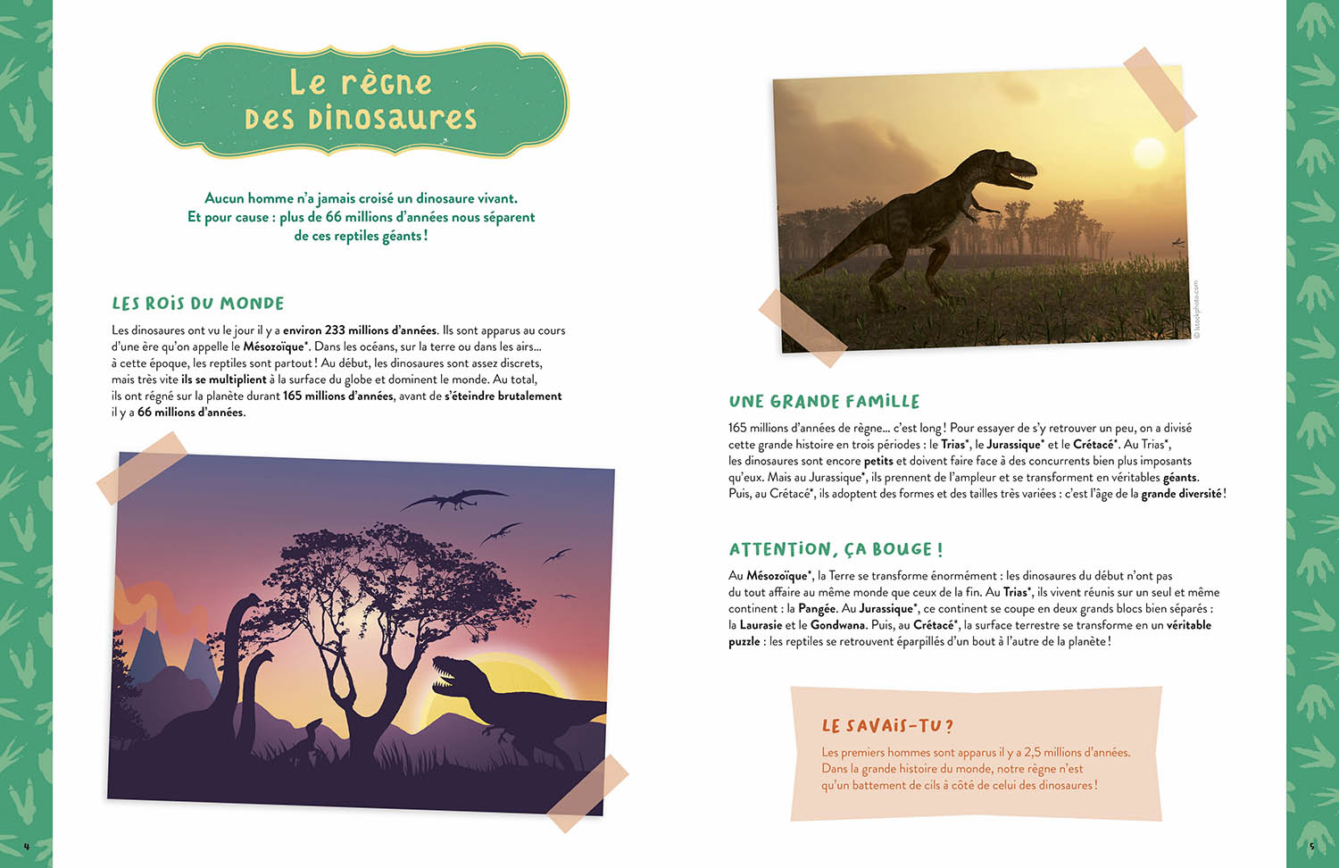 Mes dinosaures à construire