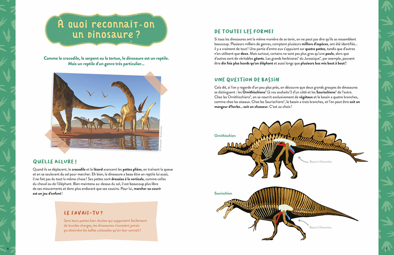 Mon Coffret D'artiste - Mes Dinosaures À Construire