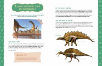 Mon Coffret D'artiste - Mes Dinosaures À Construire Mon Coffret D'artiste - Mes Dinosaures À Construire