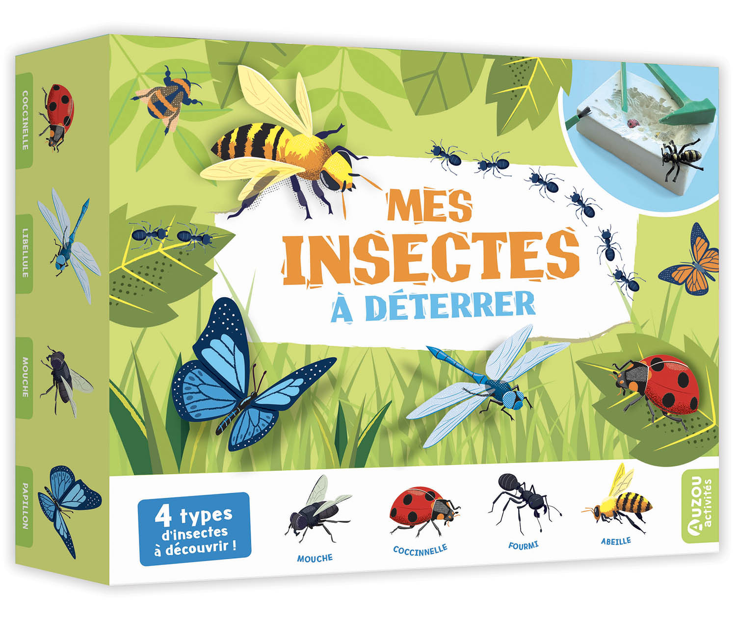 Mes Insectes À Déterrer