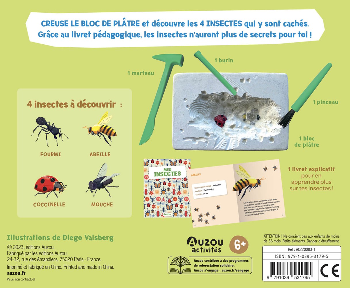 Mes insectes à déterrer