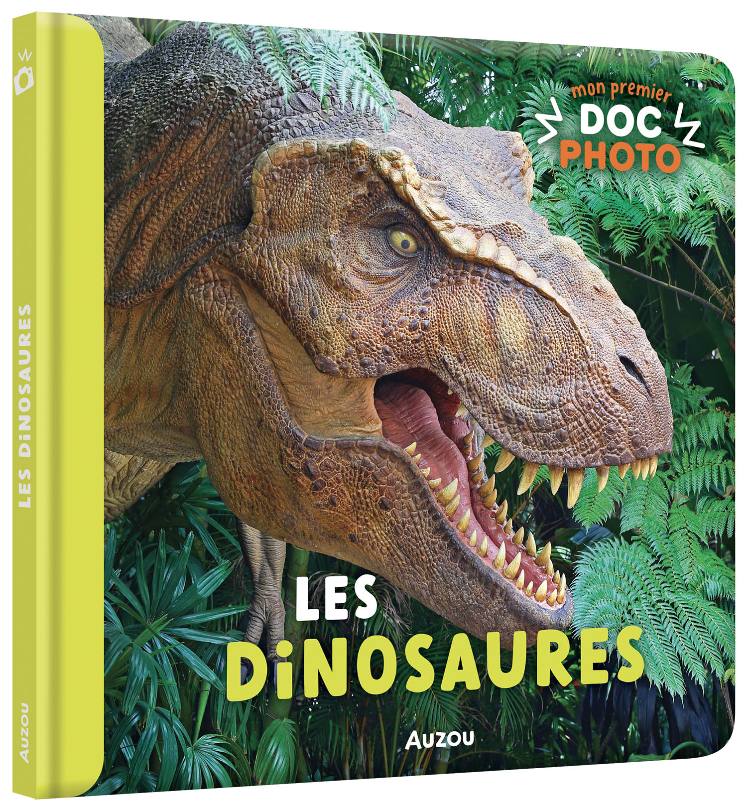 LES DINOSAURES 