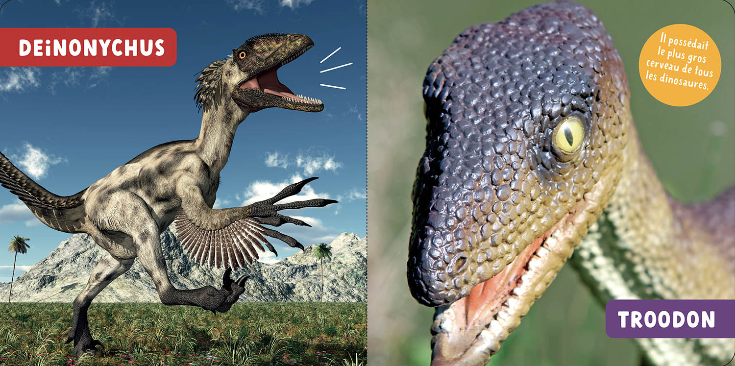 Les Dinosaures