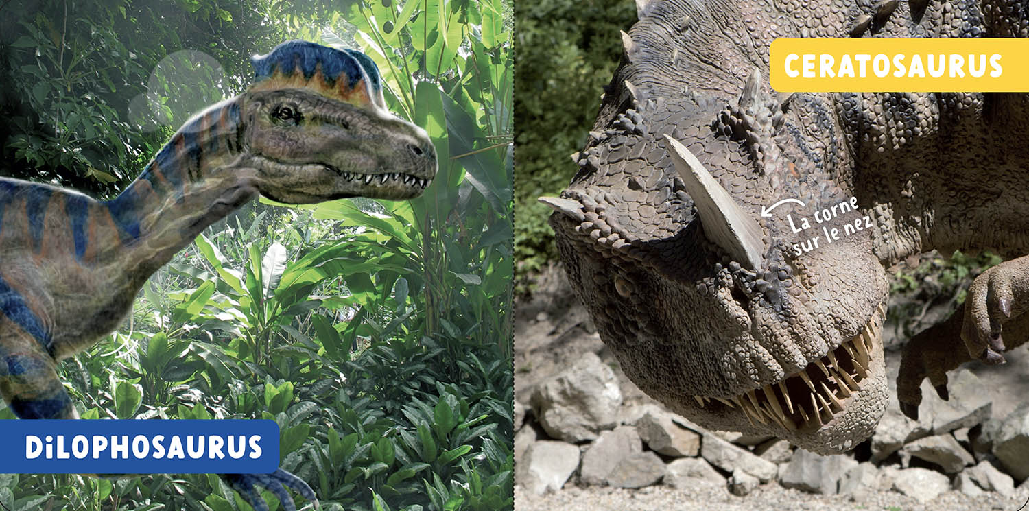 Les Dinosaures
