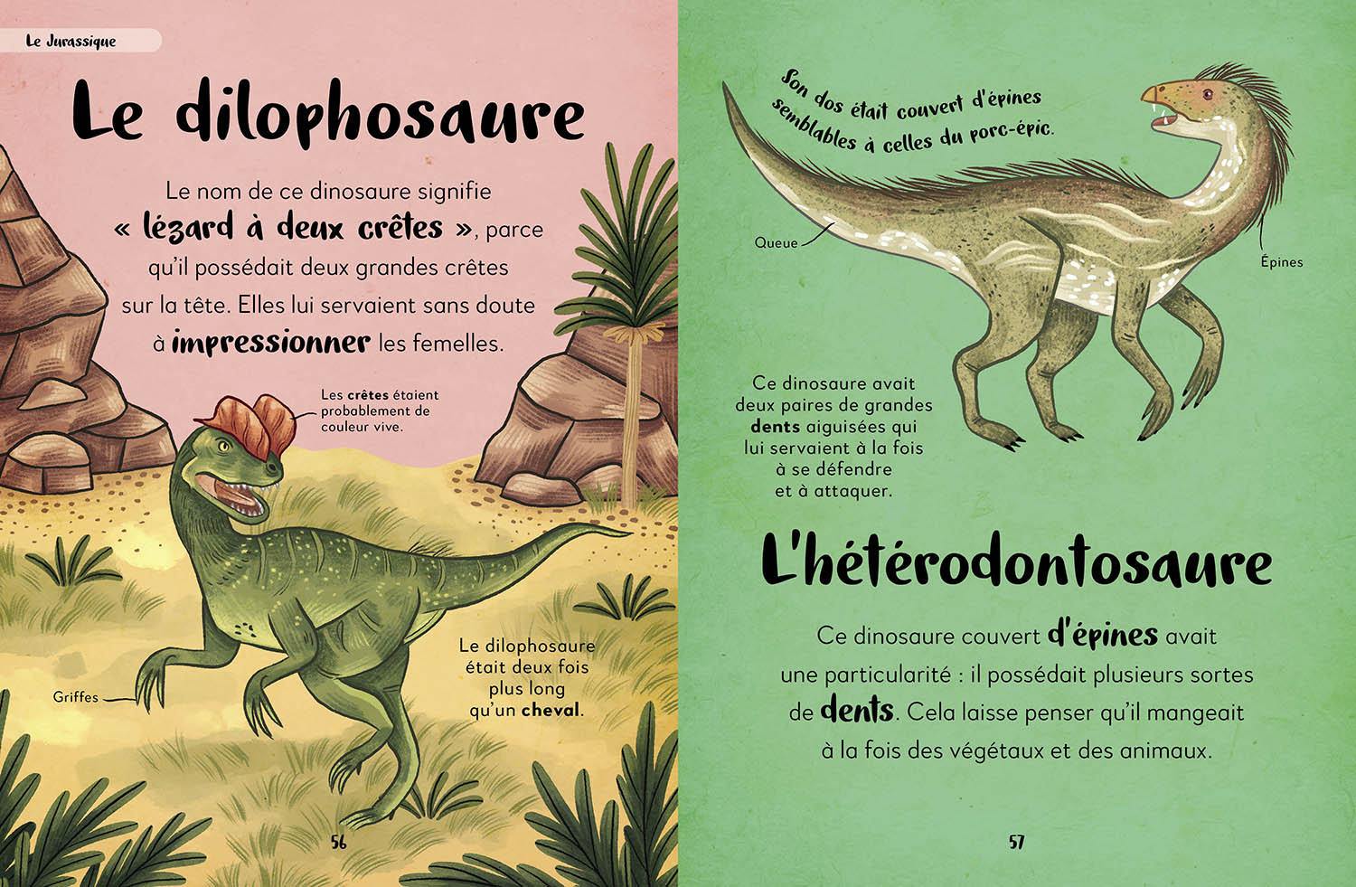 MA PREMIERE ANTHOLOGIE DES DINOSAURES