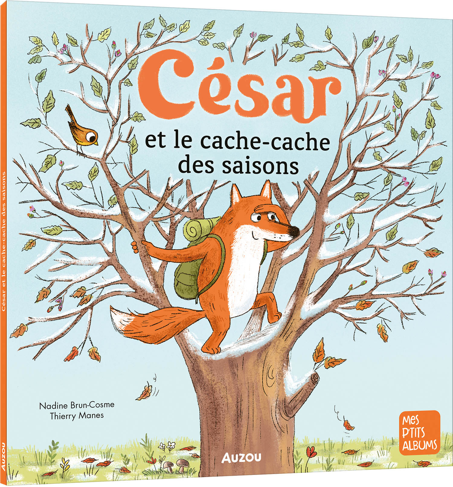 CESAR ET LE CACHE-CACHE DES SAISONS CESAR ET LE CACHE-CACHE DES SAISONS