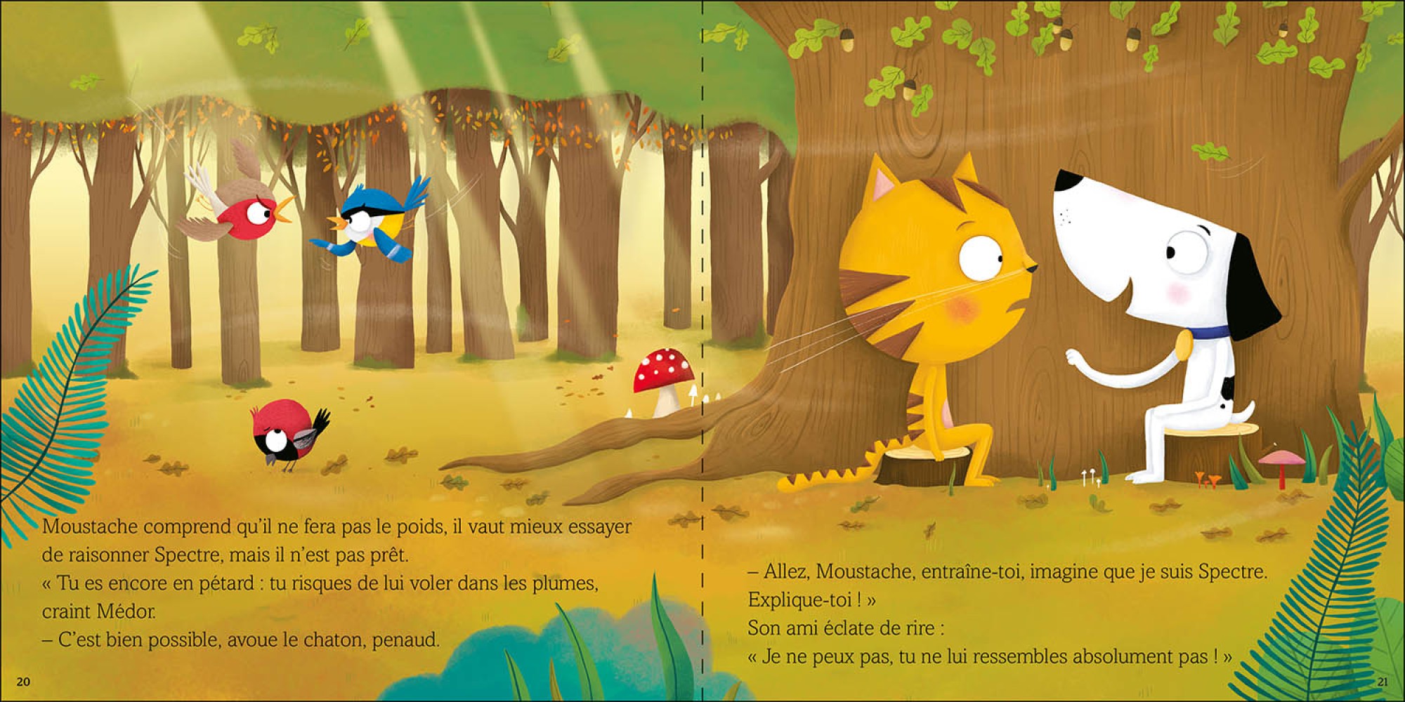 Calme-Toi, Moustache