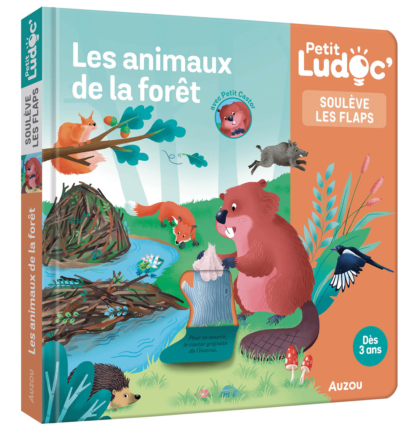 P'tit Ludoc - Soulève Les Flaps : Les Animaux De La Forêt
