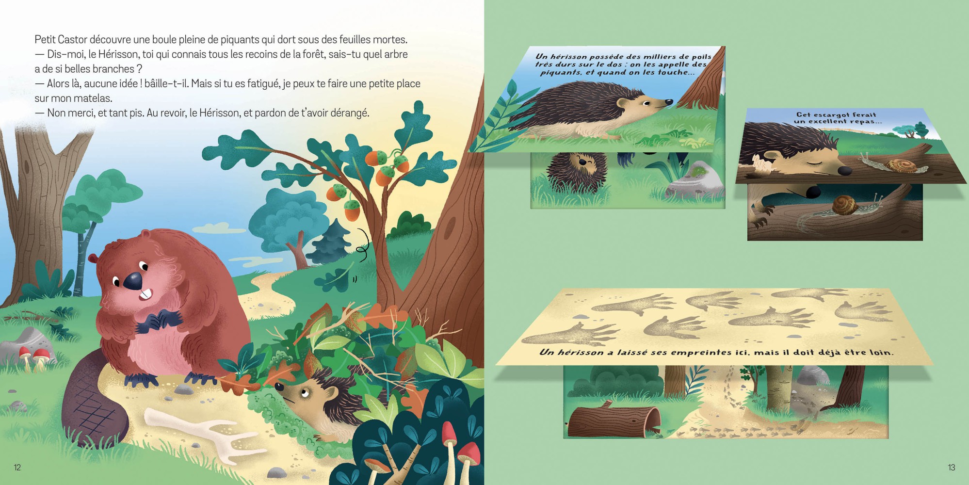 Petit Ludoc' - Soulève Les Flaps : Les Animaux De La Forêt