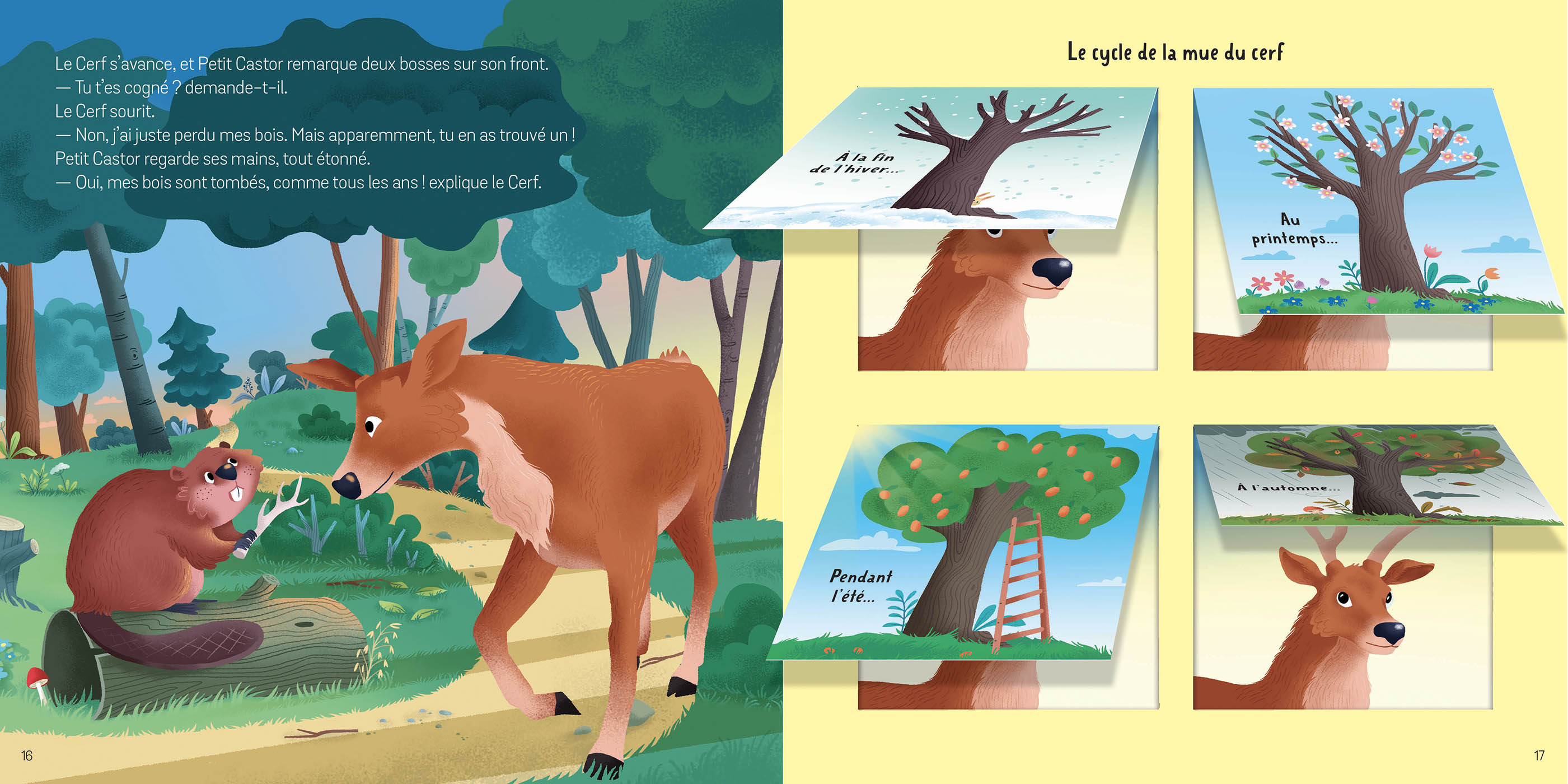 Les Animaux De La Forêt