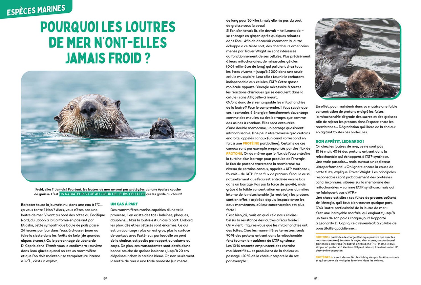 Les Mystères De L'océan - Science & Vie Junior