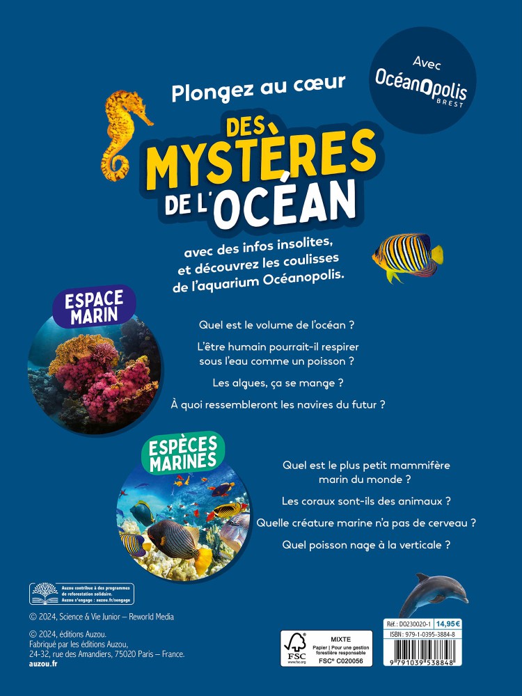 LES MYSTERES DE L