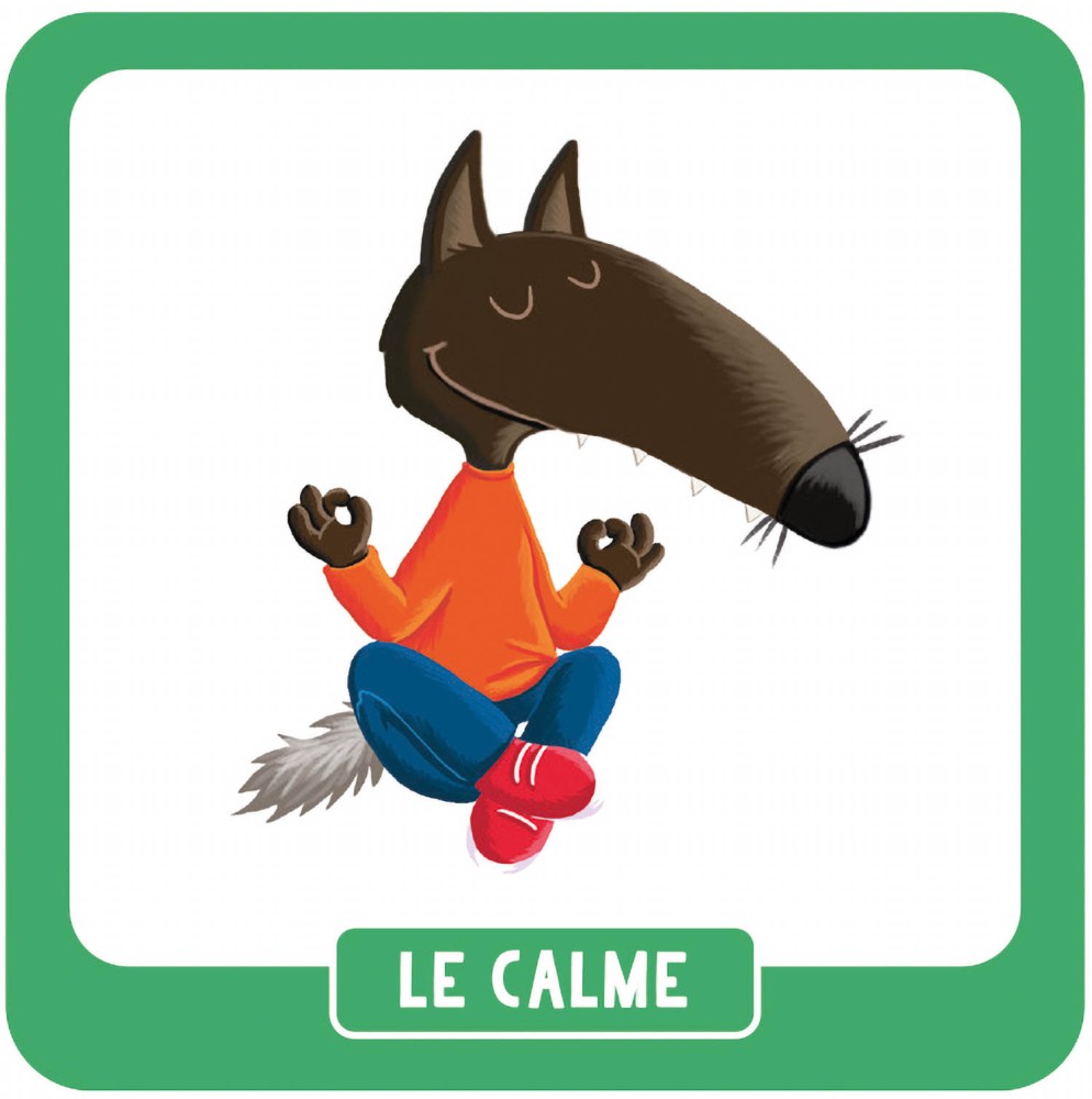 P'tit Loup - Mon Mémo Des Émotions