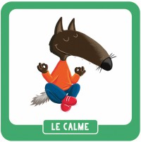 P'tit Jeu - P'tit Loup - Mon Mémo Des Émotions P'tit Jeu - P'tit Loup - Mon Mémo Des Émotions