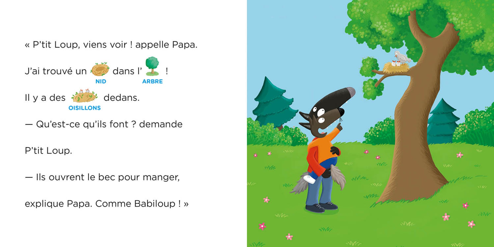 P'tit Loup Aime Les Bébés Animaux