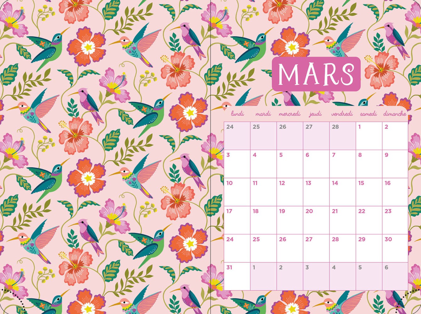 Agenda 2024-2025 - Fluo