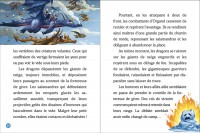 LES DRAGONS DE GLACE T3 - LA BATAILLE DE L LES DRAGONS DE GLACE T3 - LA BATAILLE DE L