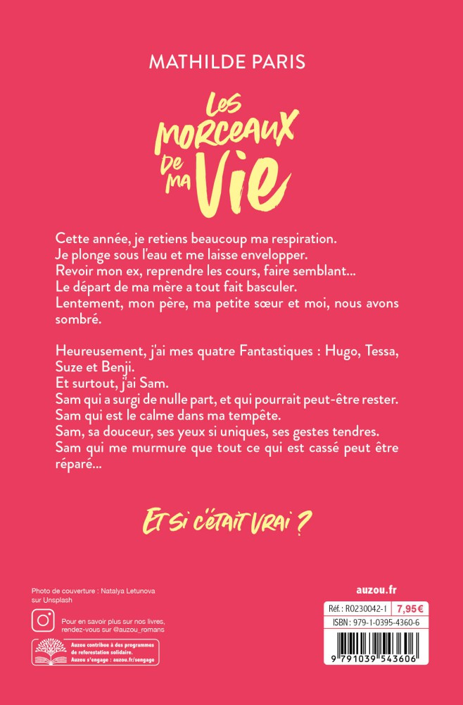 LES MORCEAUX DE MA VIE