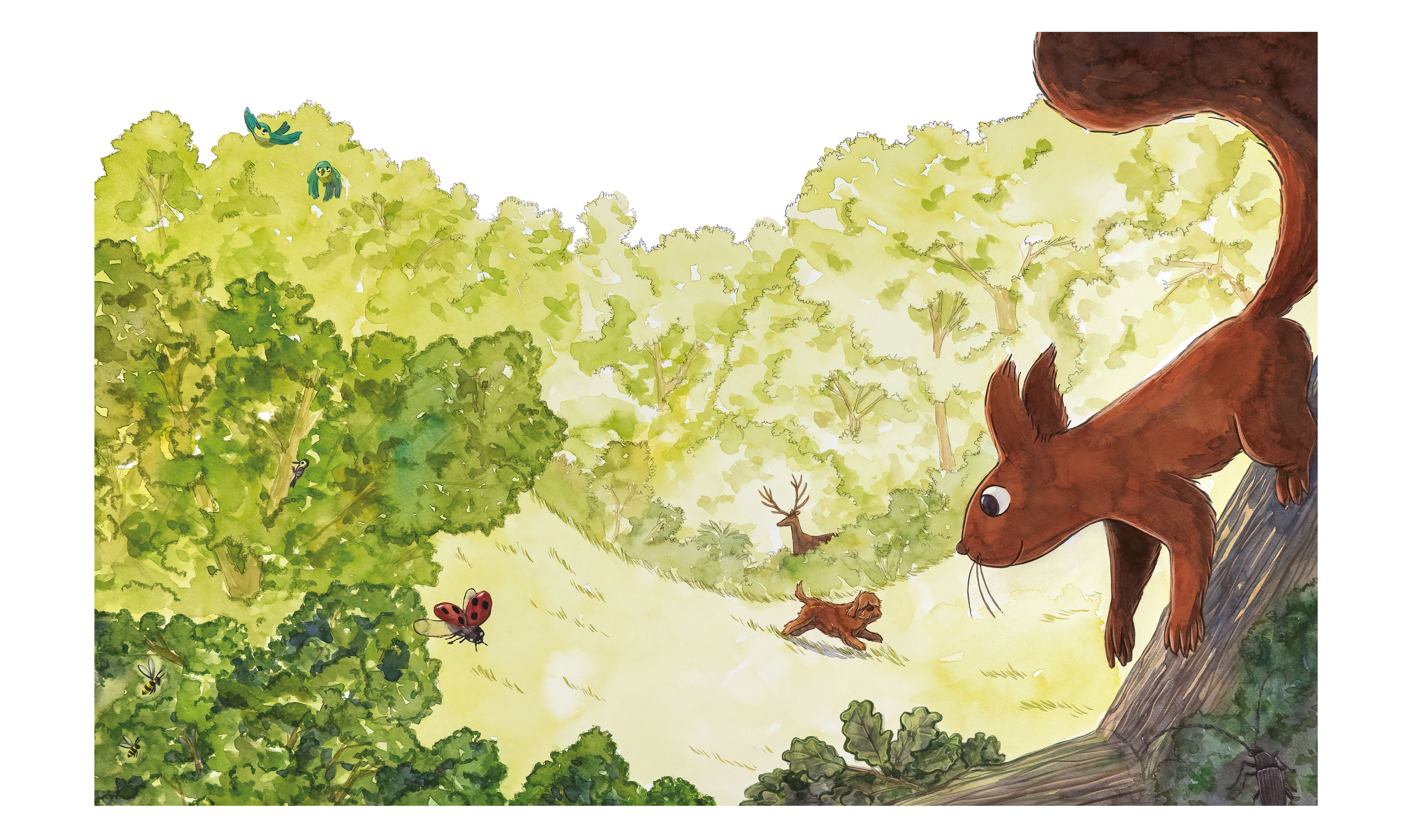 KAMISHIBAI - POIL ET PLUME