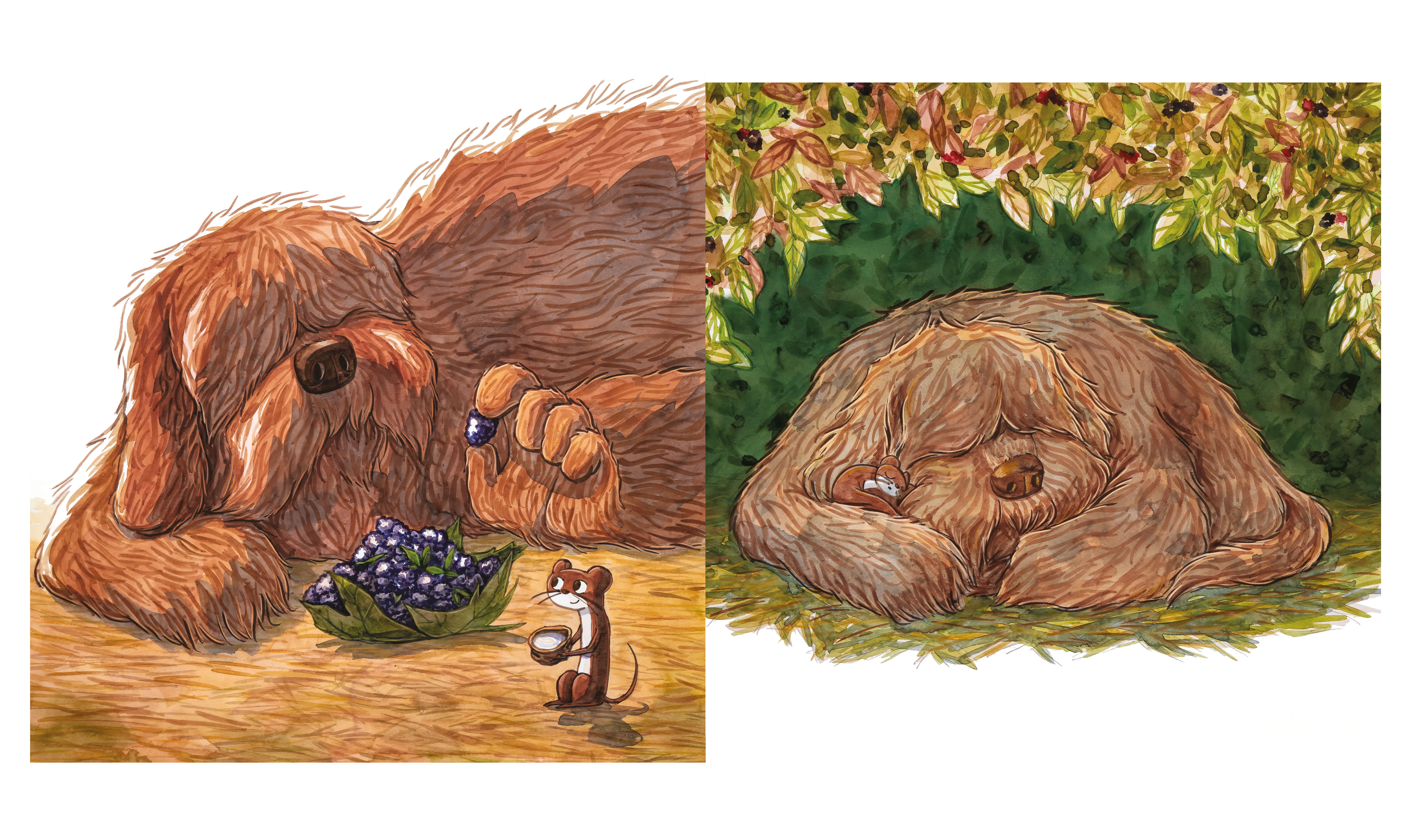 KAMISHIBAI - POIL ET PLUME