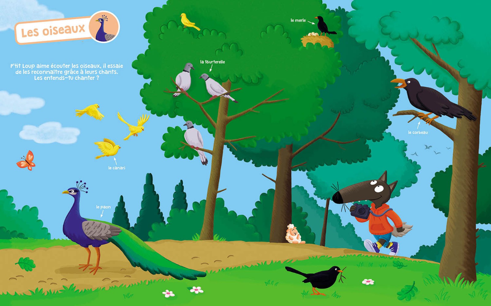 P'tit Loup - Mon Livre Sonore - Les Animaux P'tit Loup - Mon Livre Sonore - Les Animaux