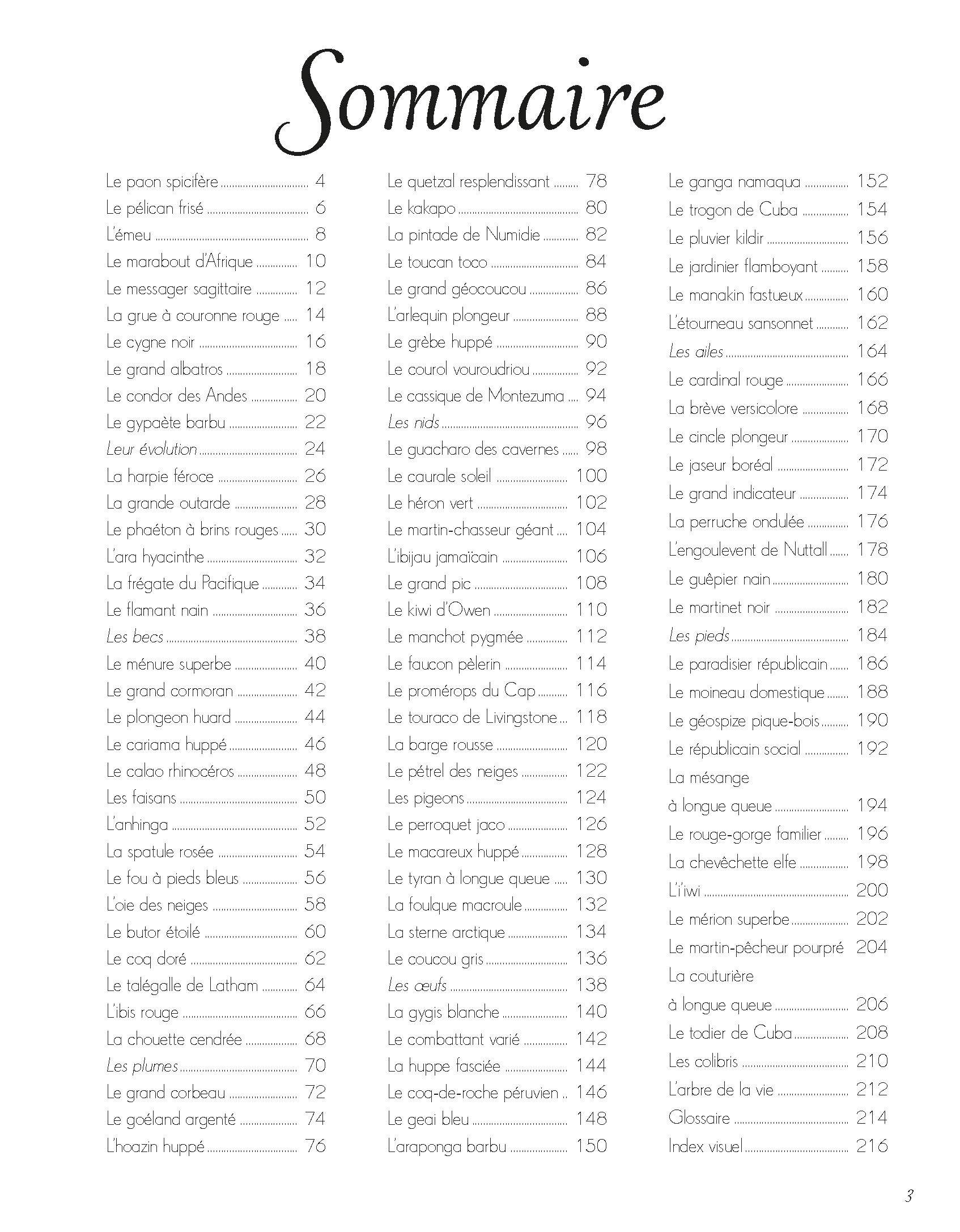 L'anthologie Illustrée Des Oiseaux Merveilleux