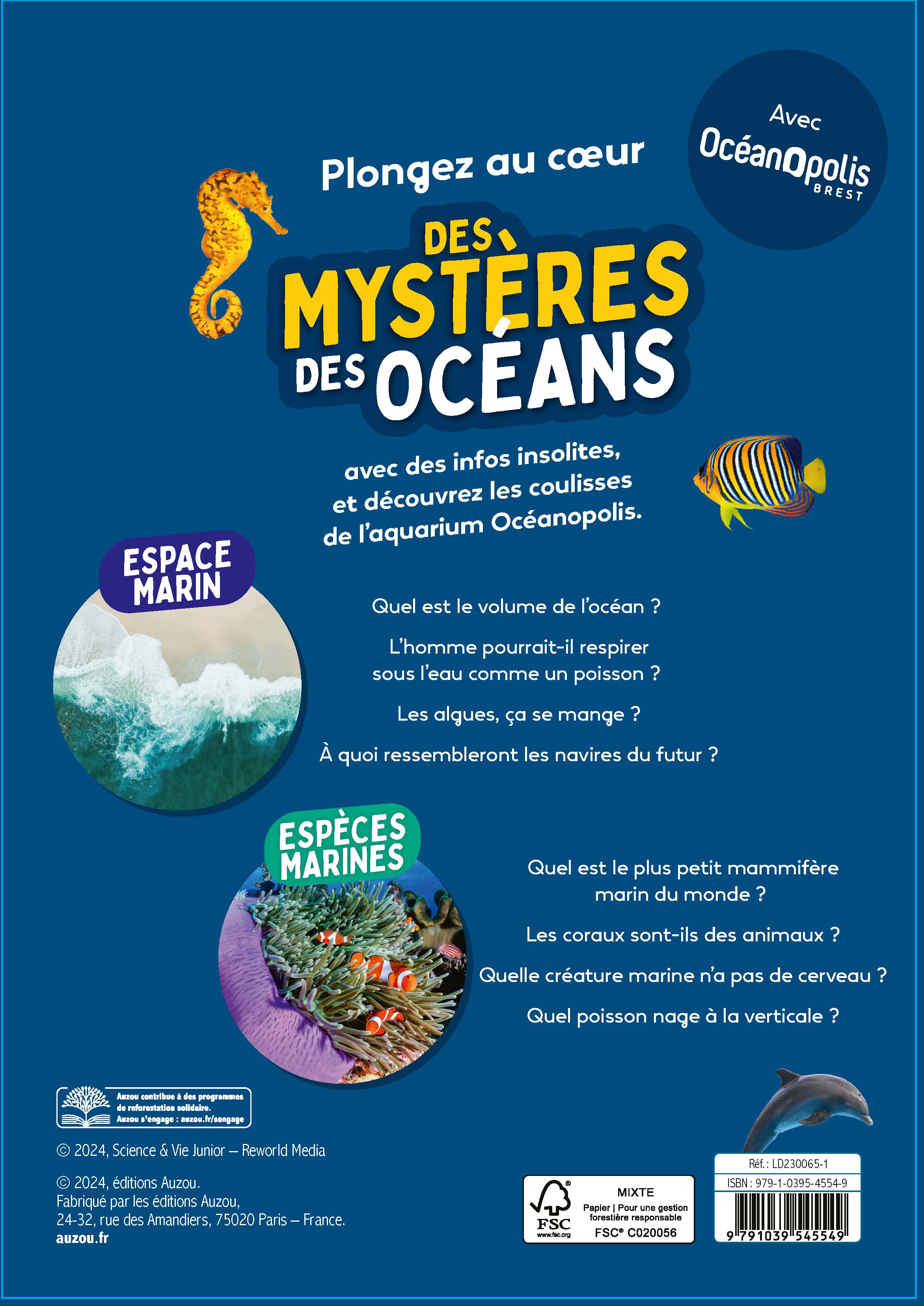 LES MYSTERES DE L