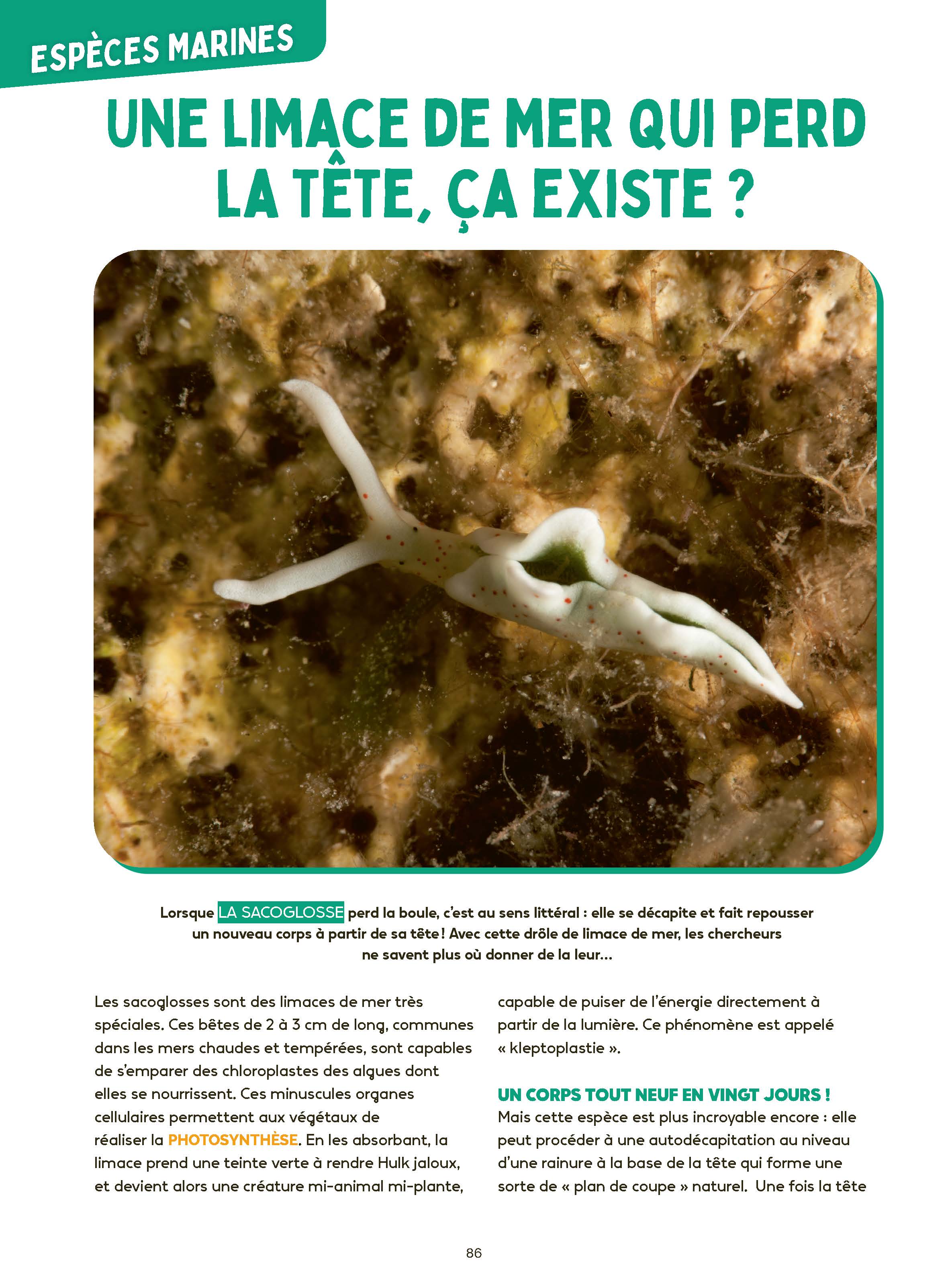 LES MYSTERES DE L