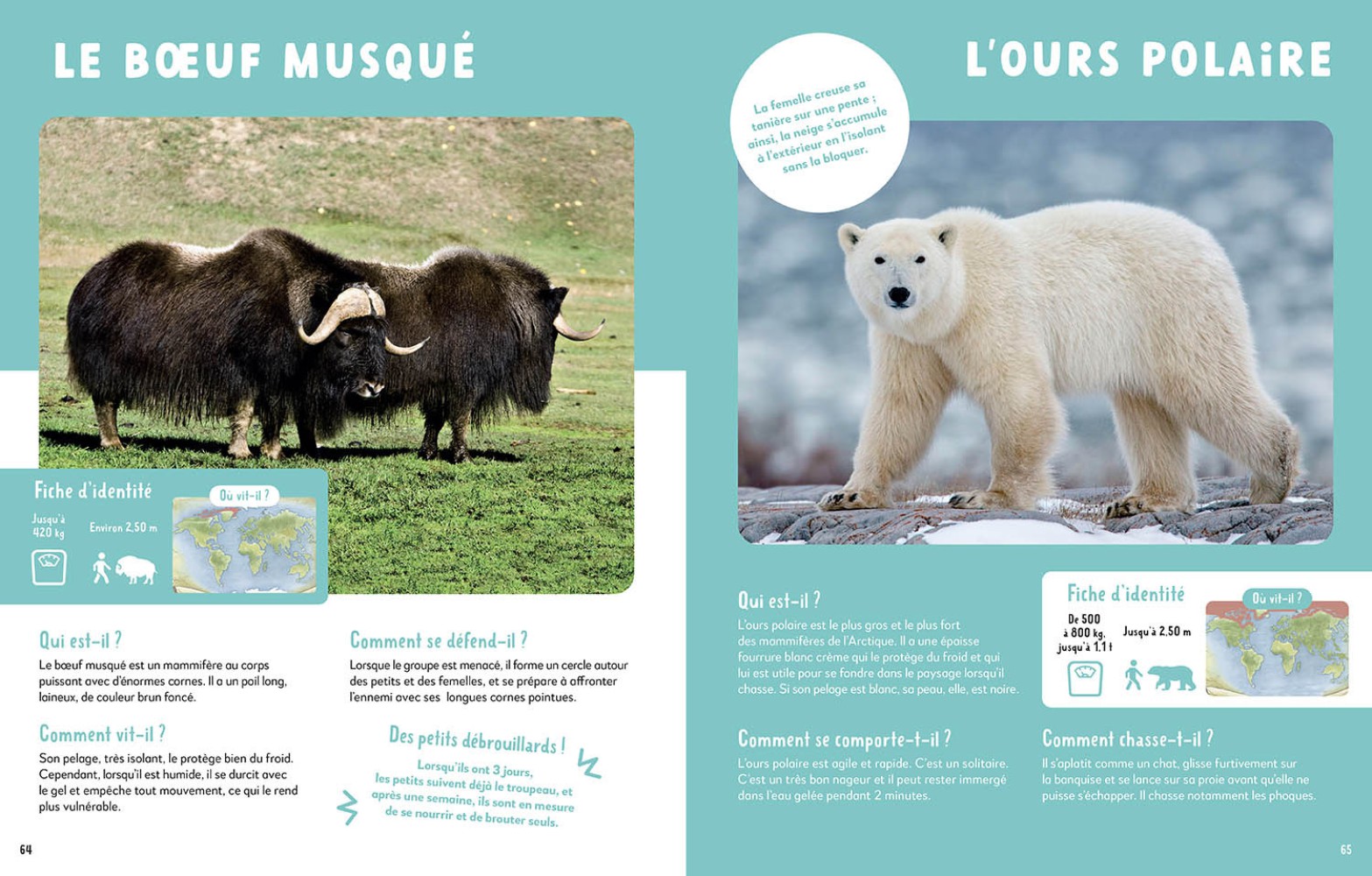 MON TRES GRAND ANIMALIER