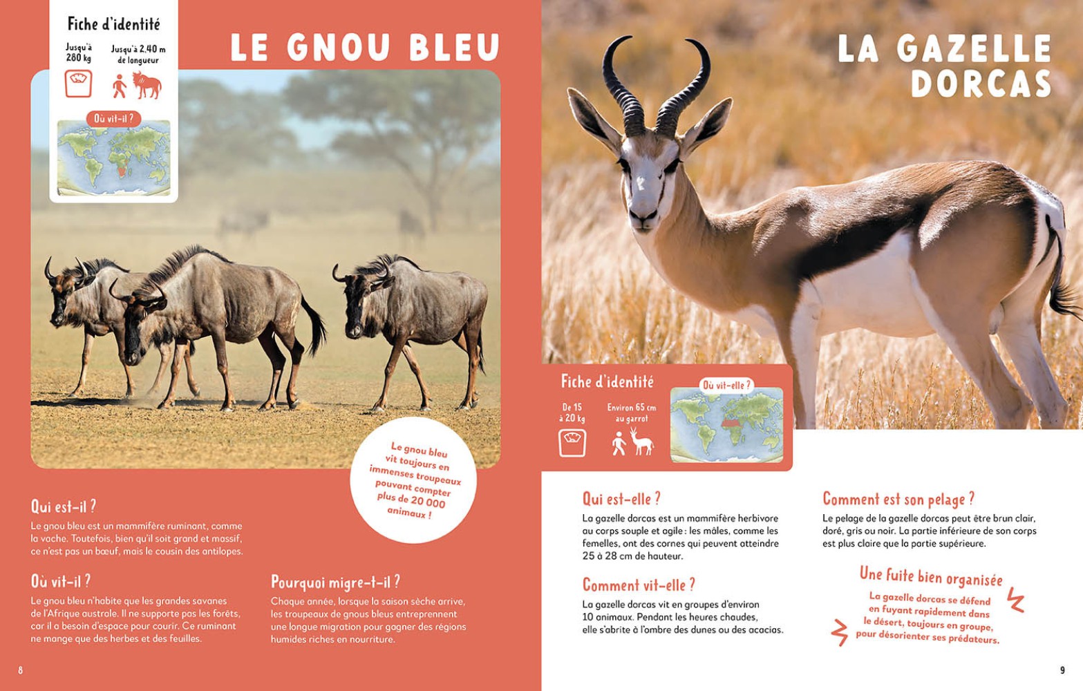 MON TRES GRAND ANIMALIER