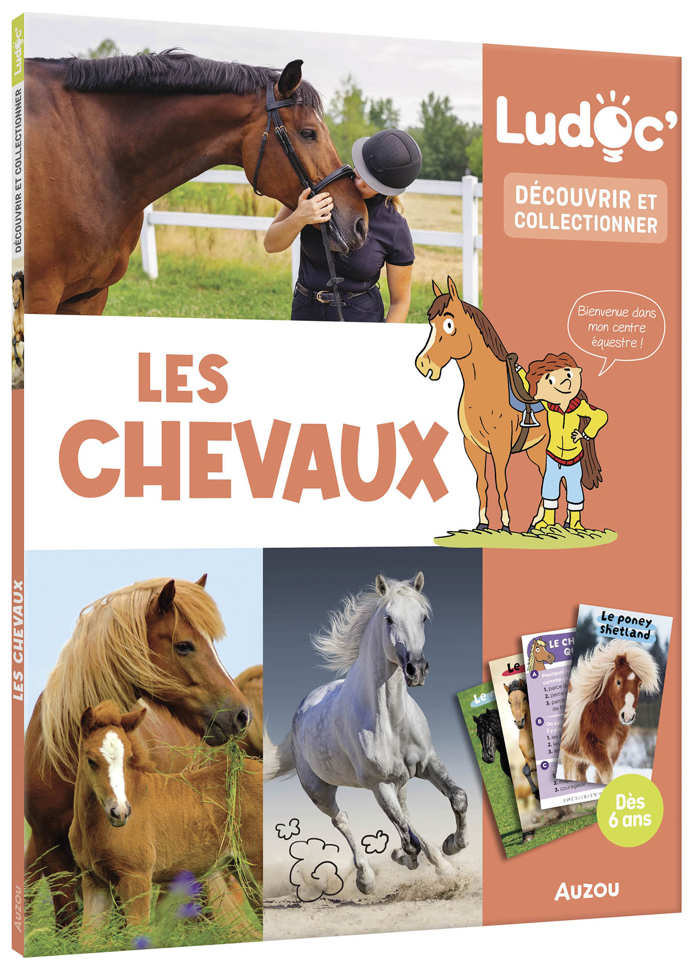 Les Chevaux