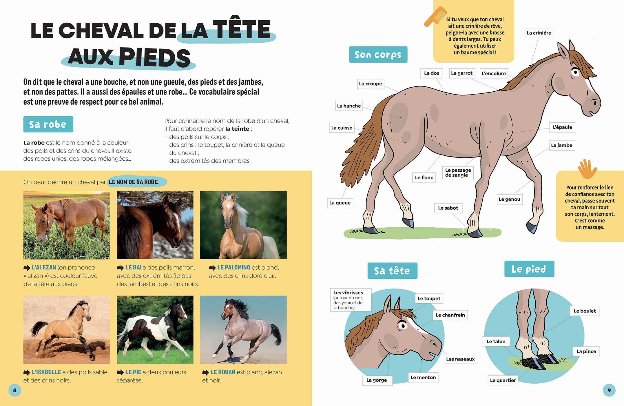 Les Chevaux