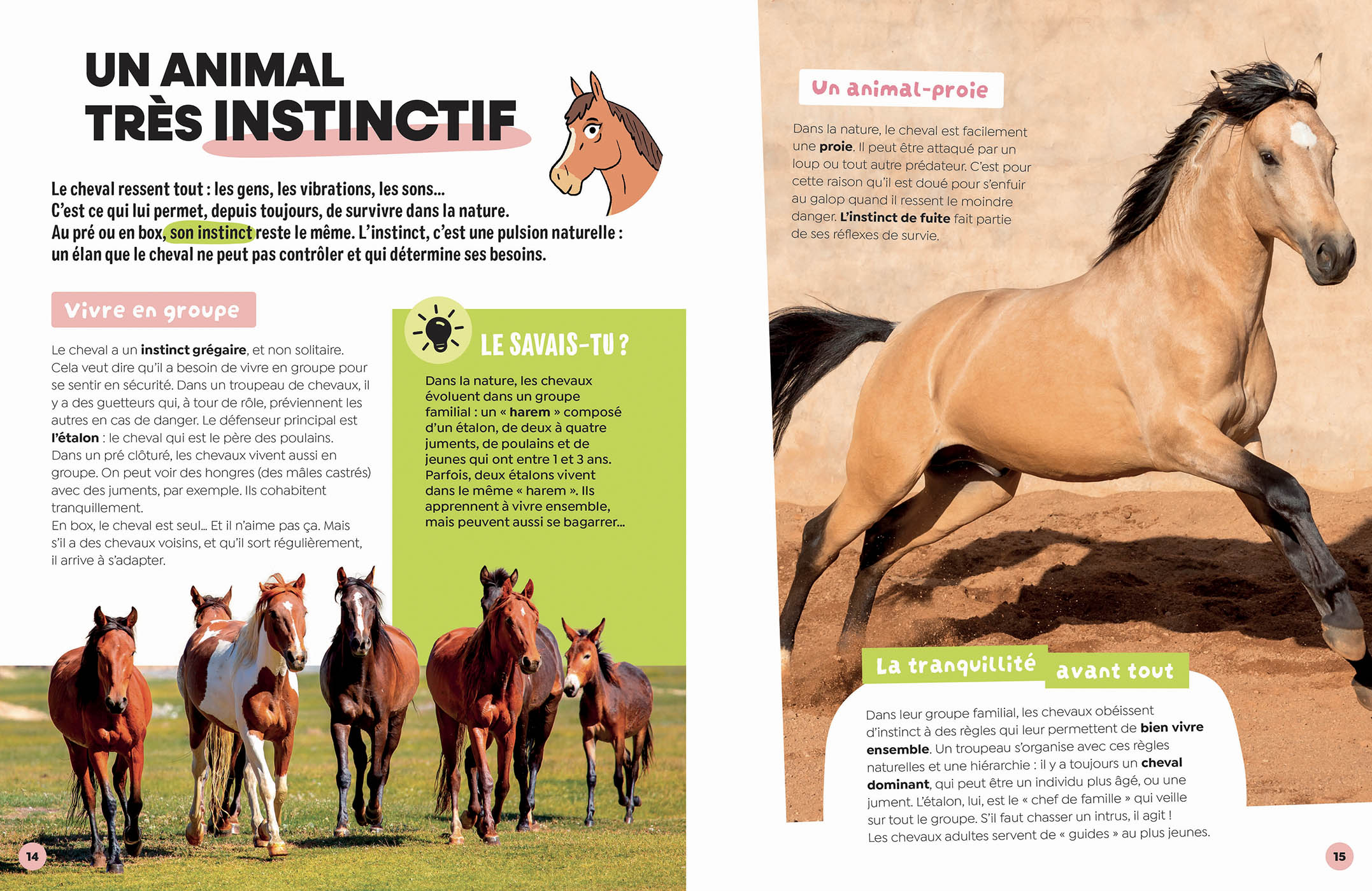 Les Chevaux