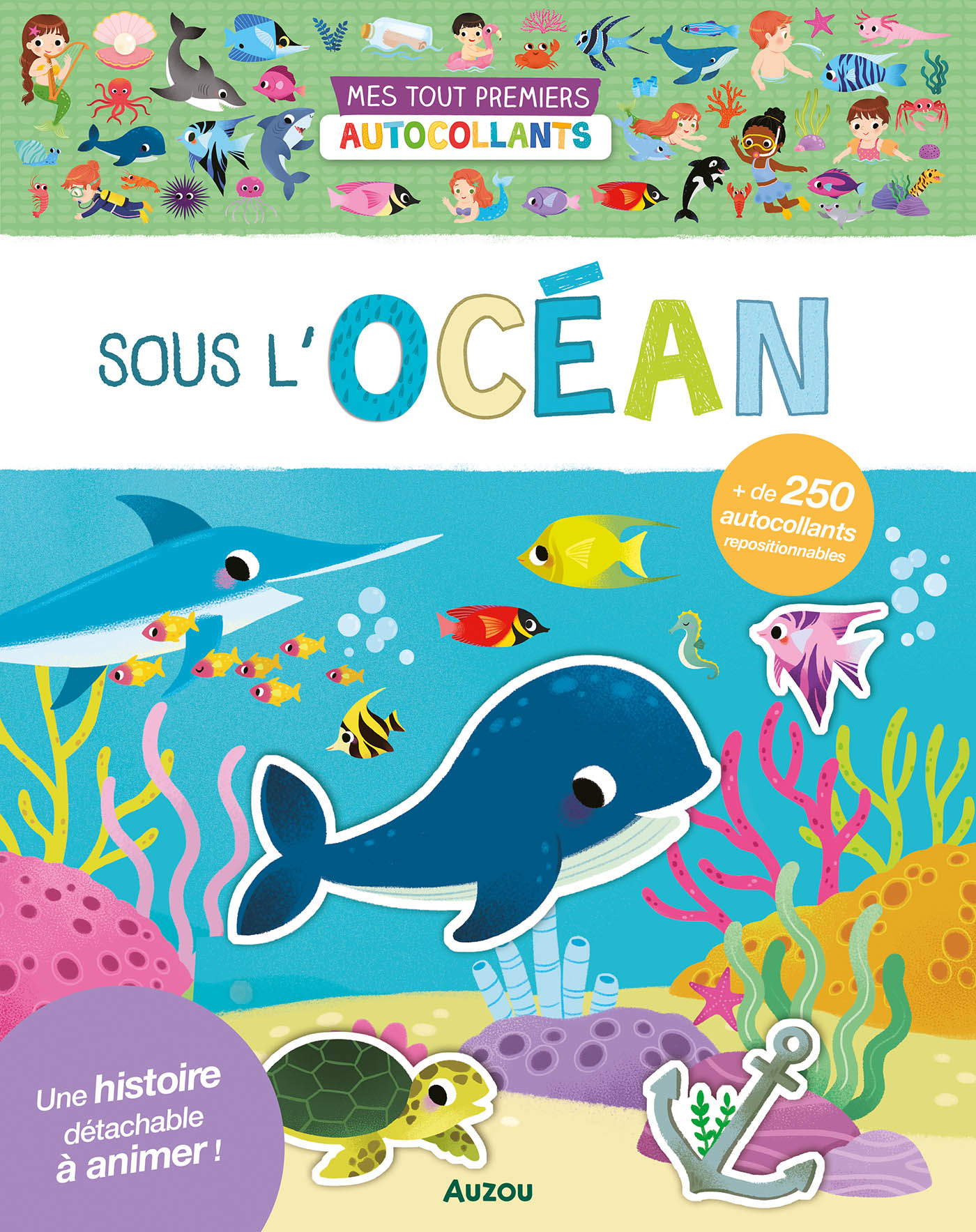 NE 250 autocs océan 