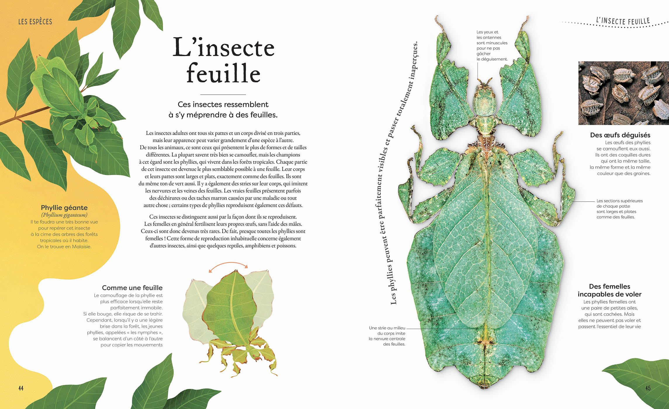 L'anthologie Insolite De La Nature Étrange Et Mystérieuse