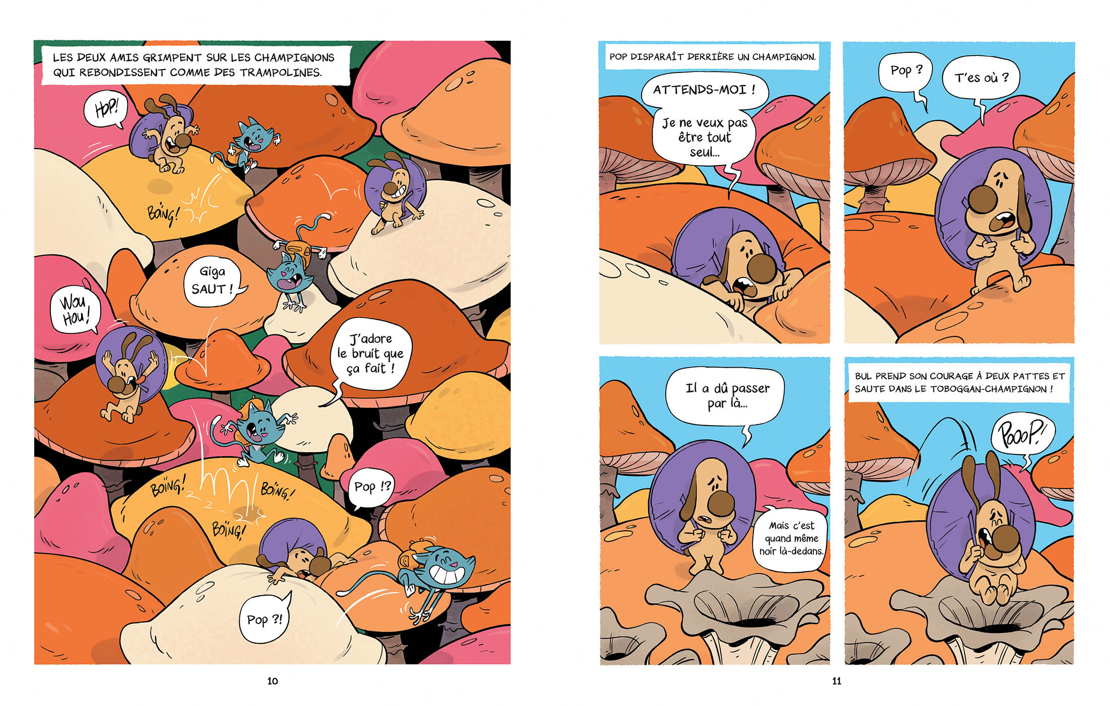 POP ET BUL T2  LE MYSTERE DU CHAMOIR