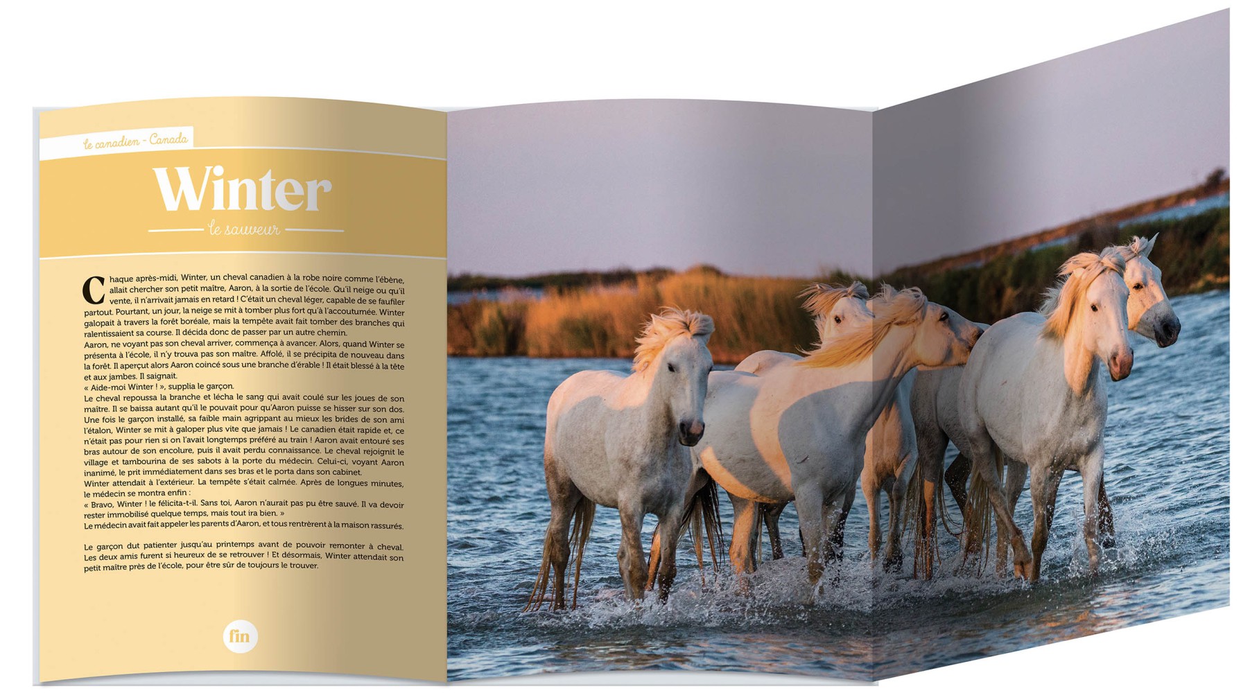 Livre-Poster : Mes Histoires De Chevaux