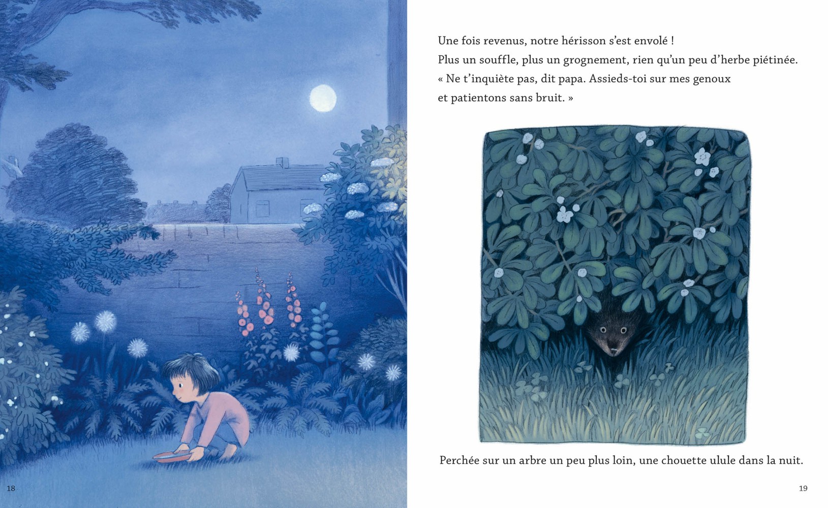 LA NUIT DU HERISSON