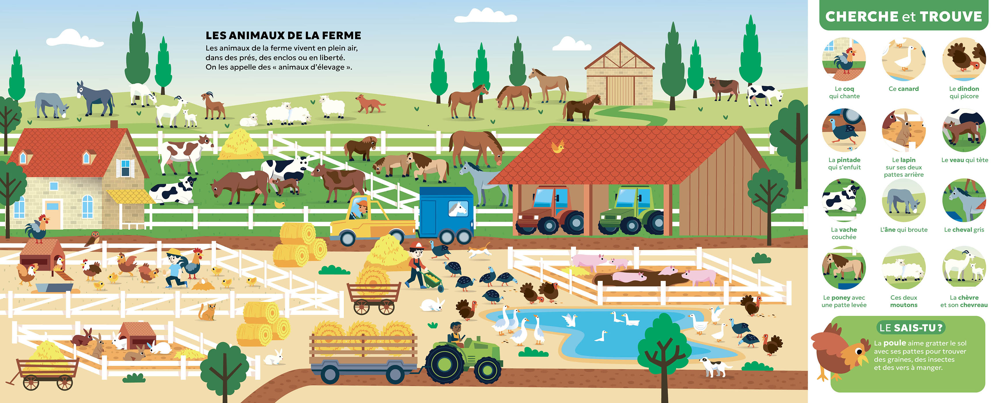 Les Animaux Les Animaux