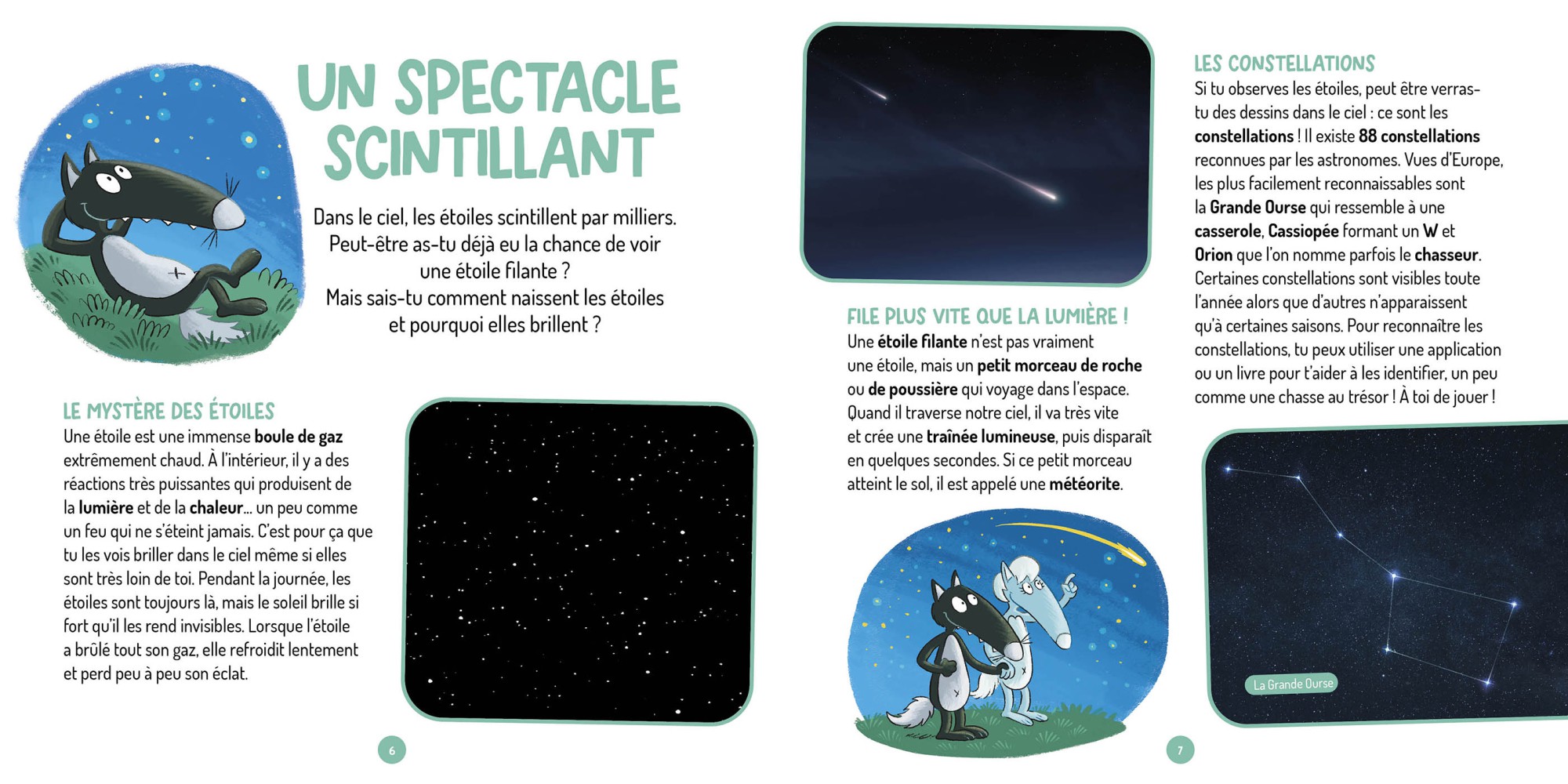 LES QUESTIONS DE LOUP - L