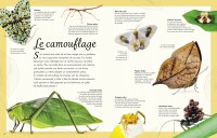 ANTHOLOGIE DES INSECTES