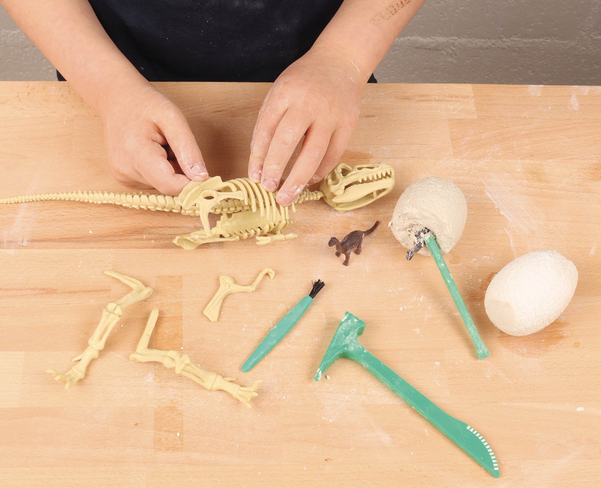 Auzou Lab' - Je Découvre Les Dinosaures