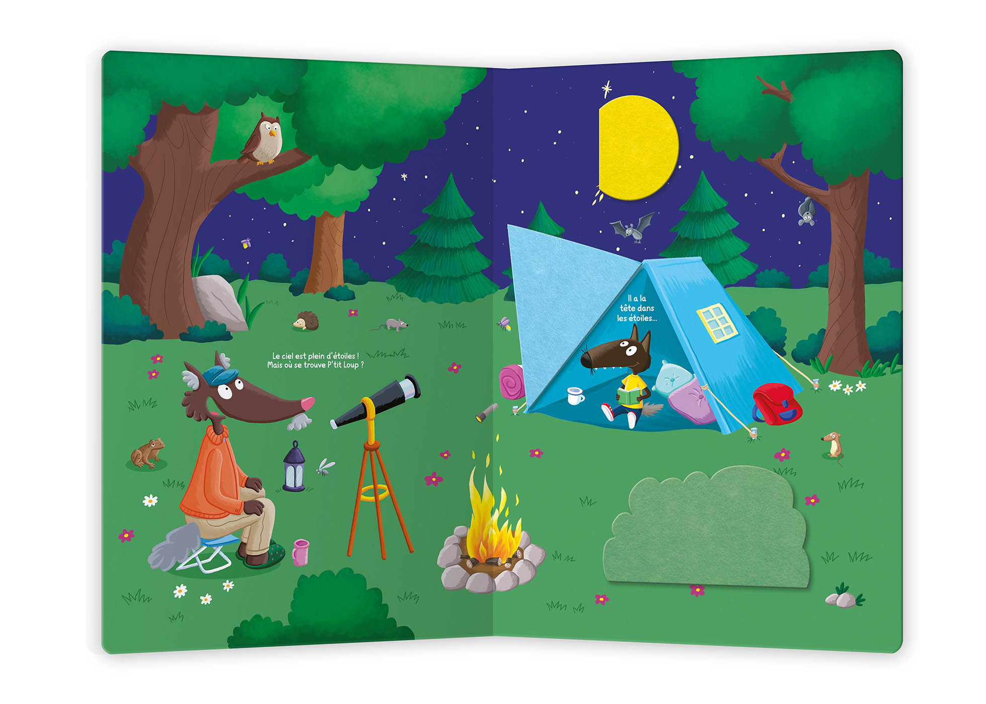 Cache-Cache P'tit Loup Cache-Cache P'tit Loup