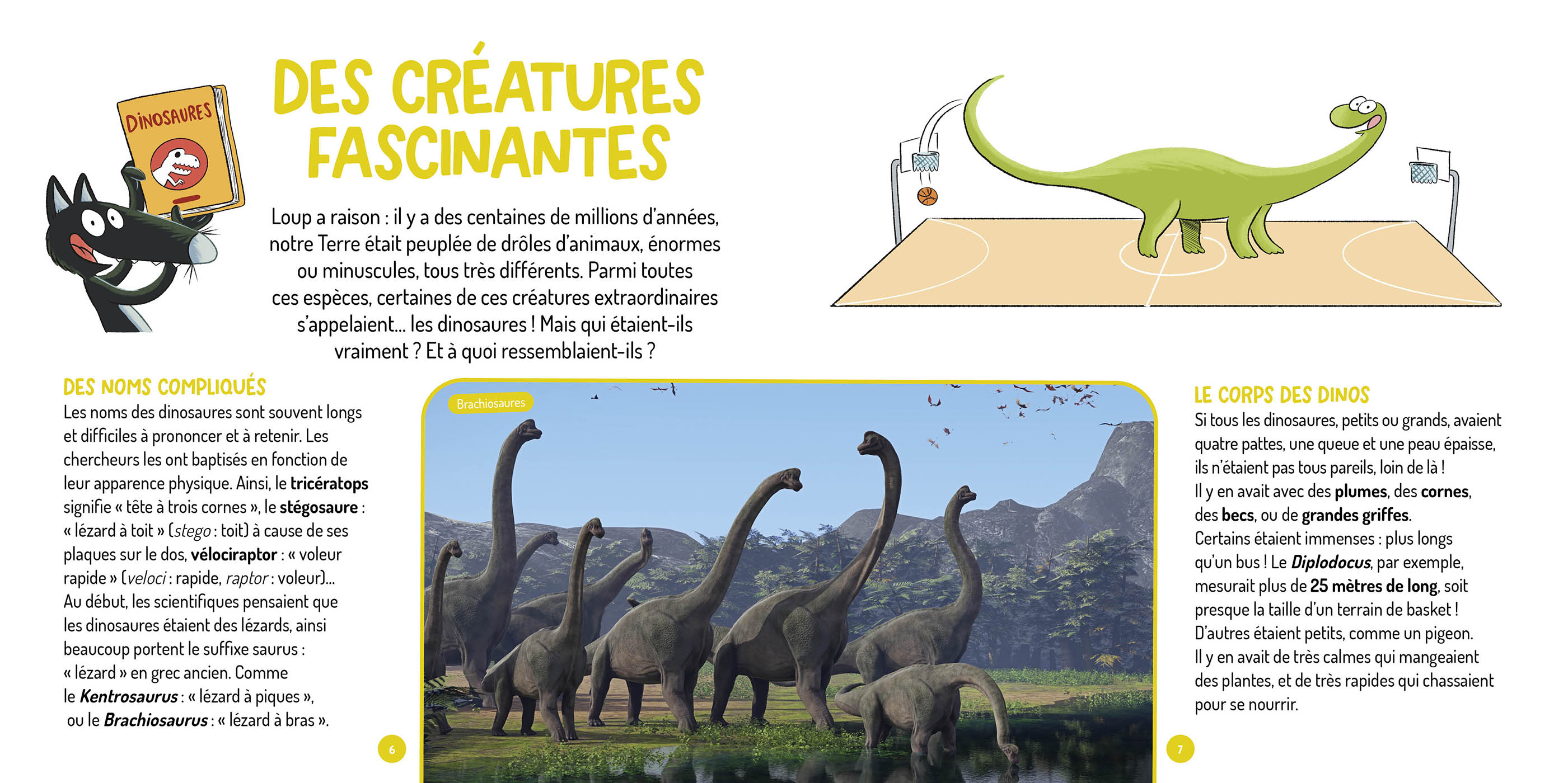 LES QUESTIONS DE LOUP - LES DINOSAURES