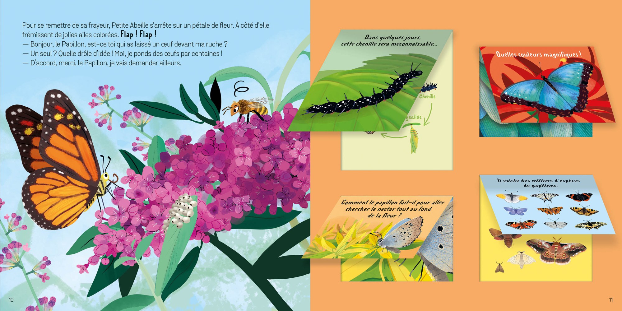 LES ANIMAUX DU JARDIN - SOULEVE LES FLAPS 