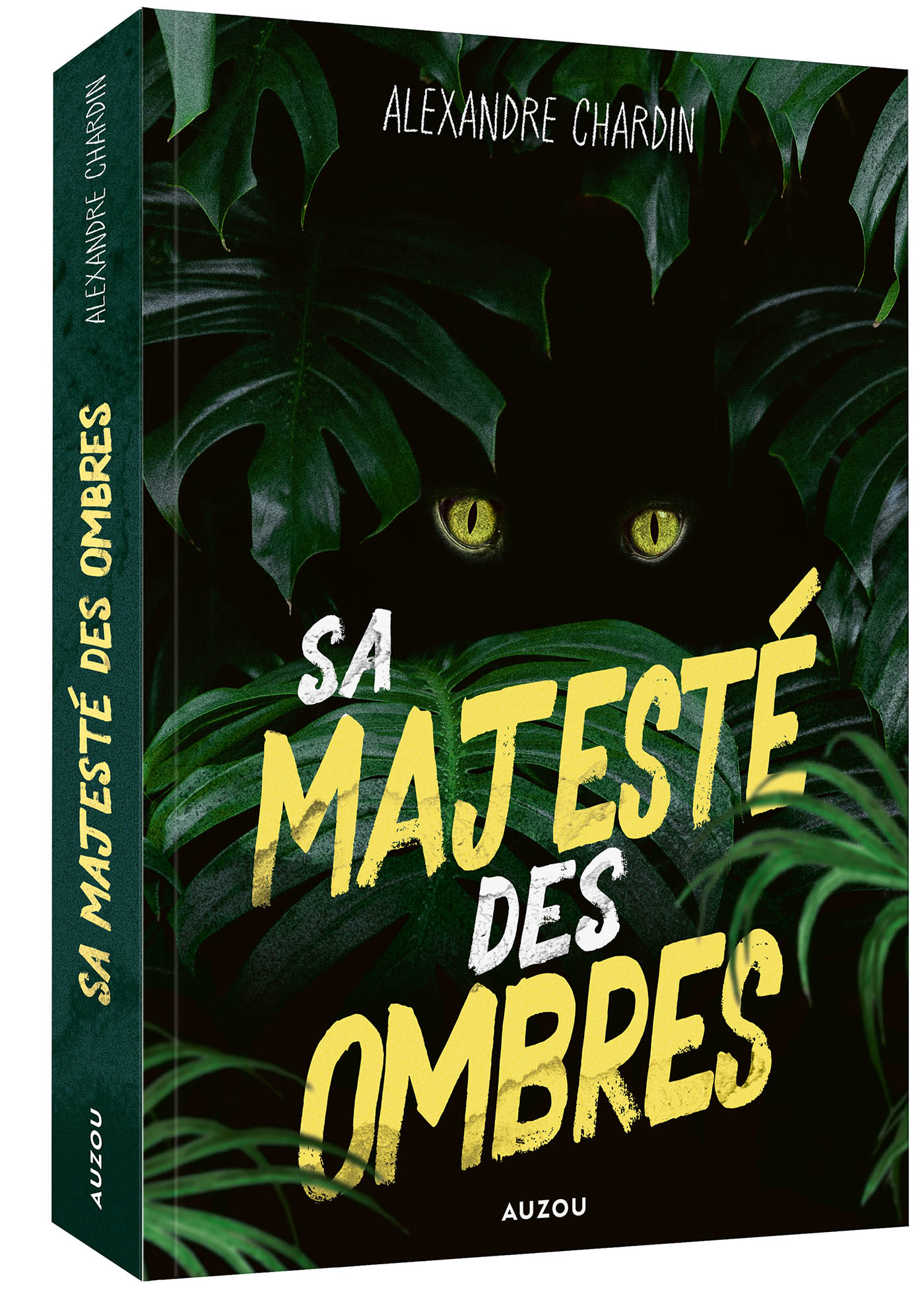 SA MAJESTE DES OMBRES