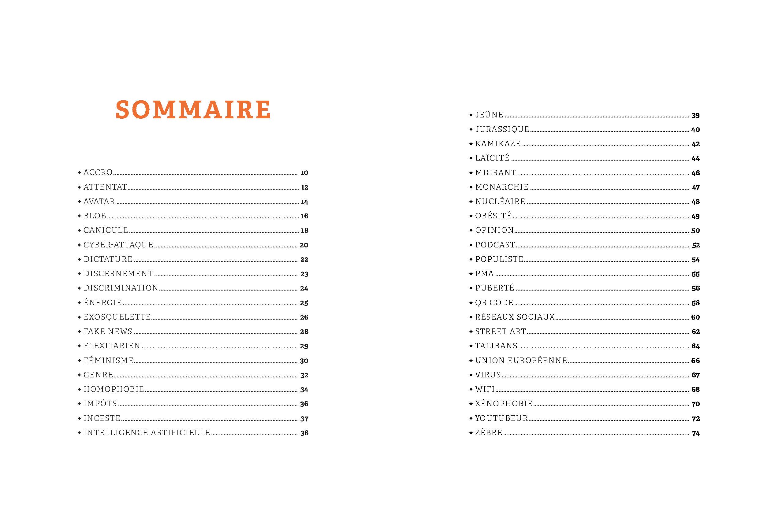 MAIS DE QUOI VOUS PARLEZ ? : DICTIONNAIRE DE MOTS COMPLIQUES A L