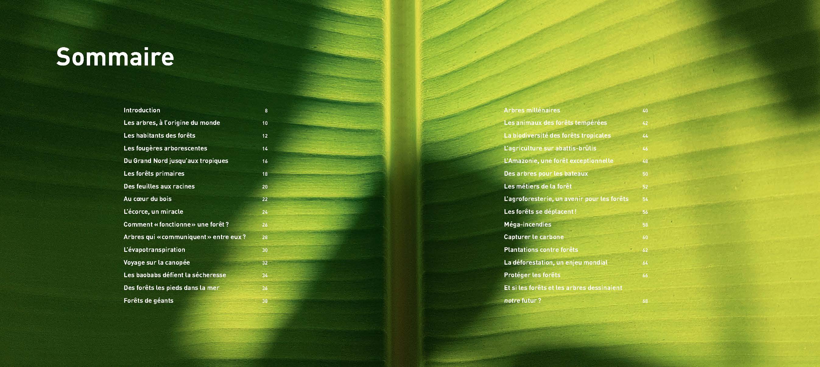 LA FORET RACONTEE AUX ENFANTS